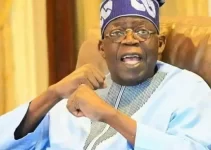 Tinubu Orders Review of Controversial Tax Reform Bills